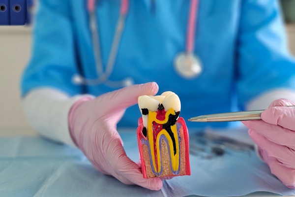 What Is Endodontics? A Guide To Saving Teeth From The Inside Out